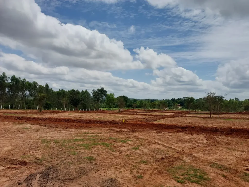 Kamyaka Woods by SVR Farms farm land bangalore managed farmland near bangalore farmland near bangalore farm land for sale near bangalore farm land for sale bangalore best managed farmland near bangalore buy farm land near bangalore managed farmland in bangalore managed farms near bangalore