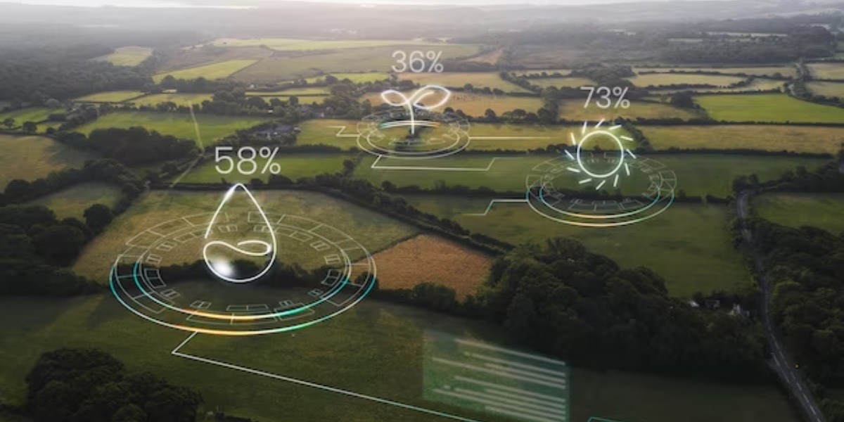 Location, Accessibility, and Connectivity