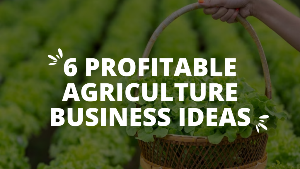 Best-Managed-Farmland-Near-Bangalore-6-Profitable-Agriculture-Business-Ideas.png