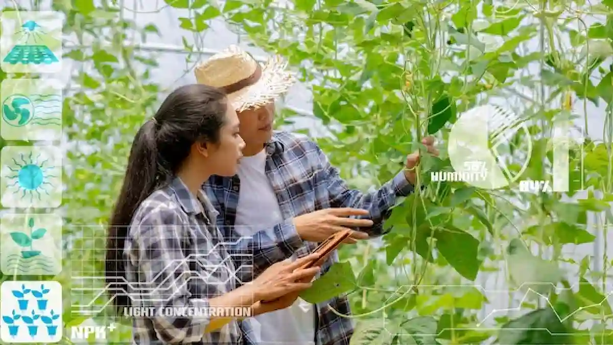 The Allure of Farming: A Human Connection Managed Farmland near Bangalore