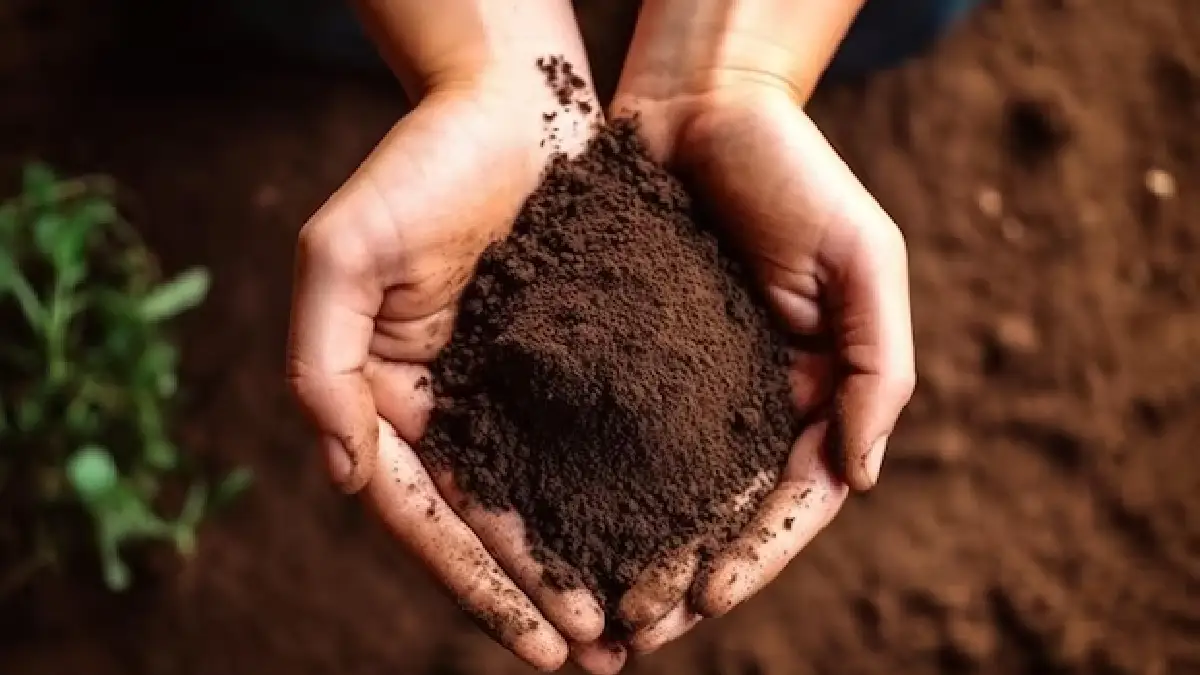 Soil Health