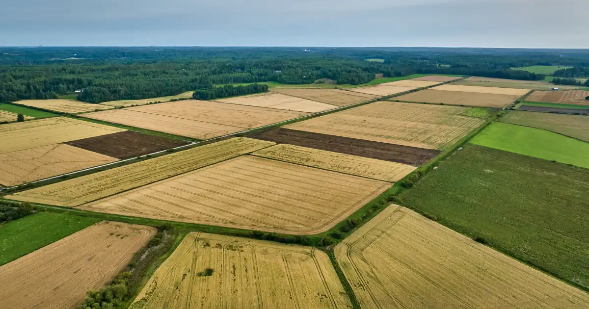 Agricultural Land in Hosur