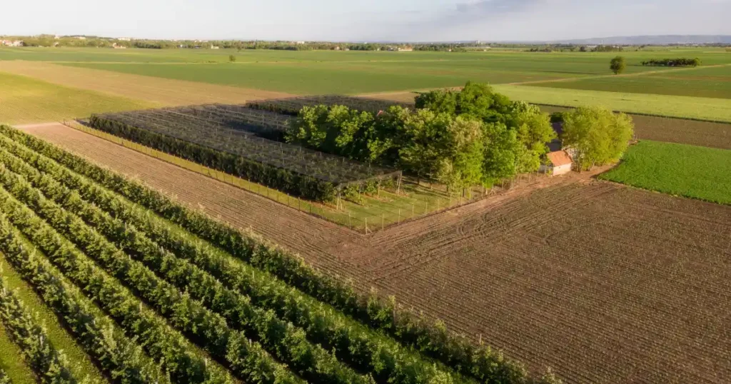 Agricultural land for sale near bangalore