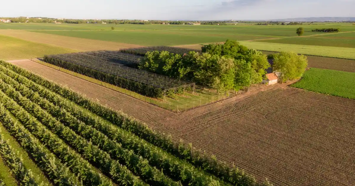 Agricultural land for sale near bangalore
