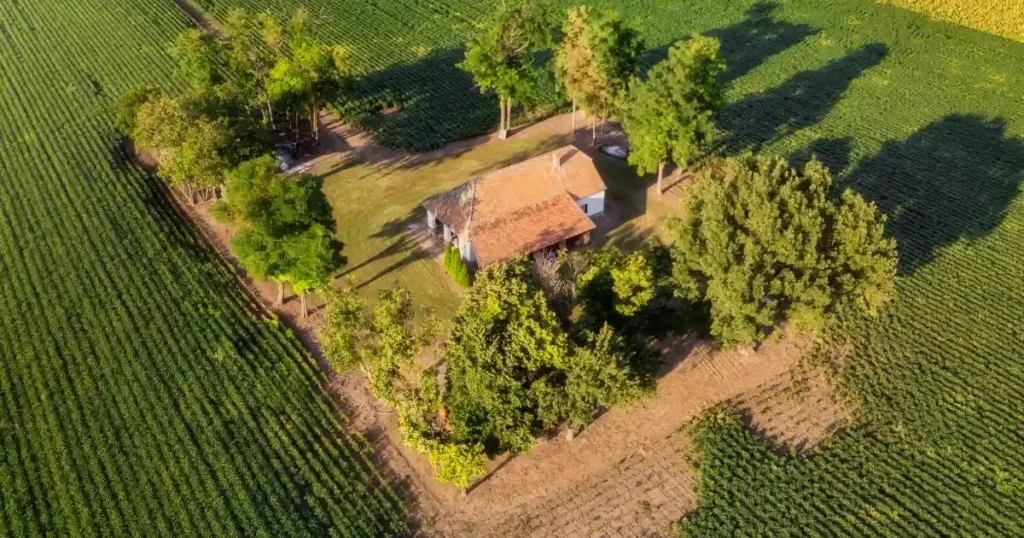 Best Managed Farmland Projects with Ready Plantation