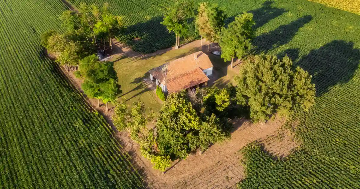 Best Managed Farmland Projects with Ready Plantation