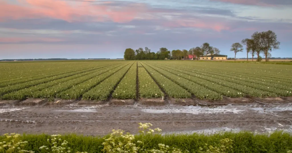 Common Mistakes Farmland Buyers Make India