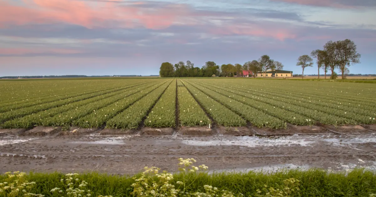 Common Mistakes Farmland Buyers Make India