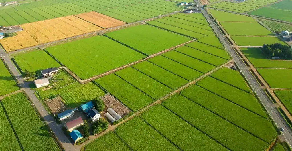 NRI farmland investment India