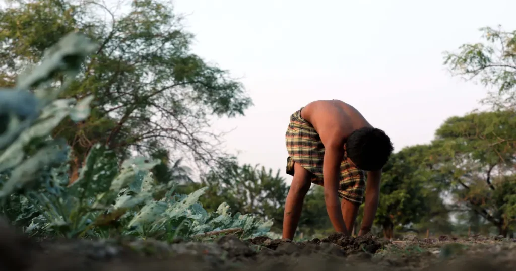 farm labour and on-site operations