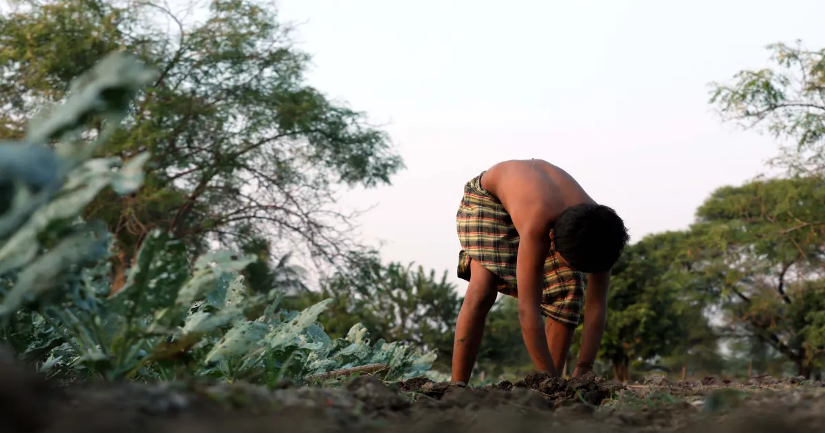 farm labour and on-site operations