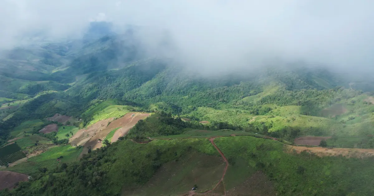 Best Places to Buy Farmland Near Bangalore