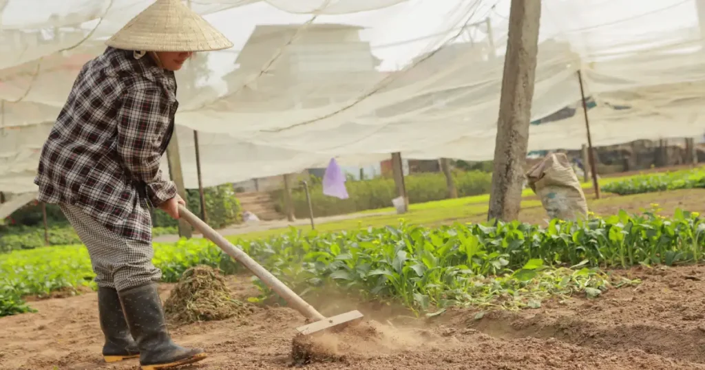 Small farm garden planning with a farmer preparing soil beside rows of young vegetables