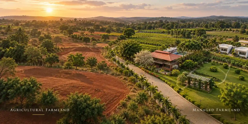 individual land vs managed farmland near Bangalore